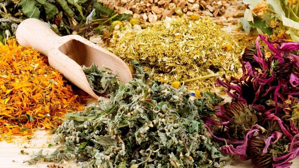 zioła z pasożytów w organizmie