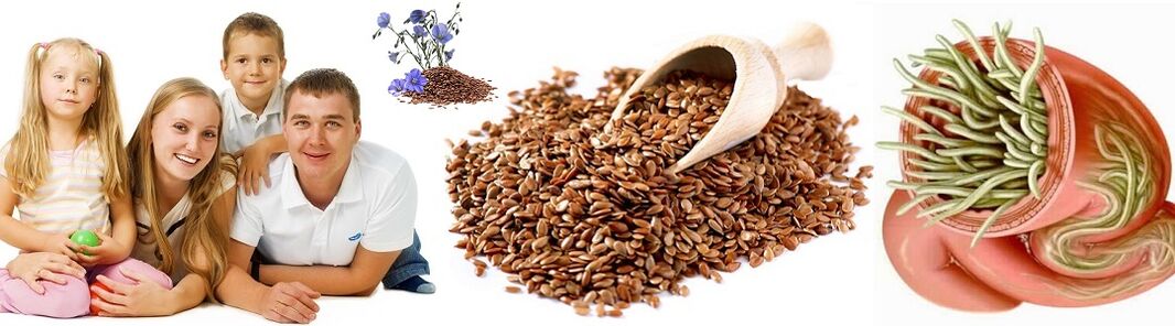 Ludowe środki zaradcze na pasożyty dla zdrowia rodzinnego