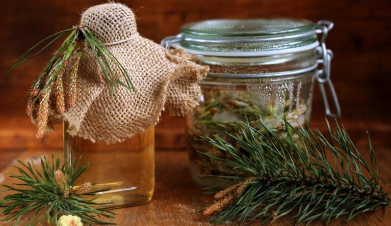 Wywar z sosny pasożytów