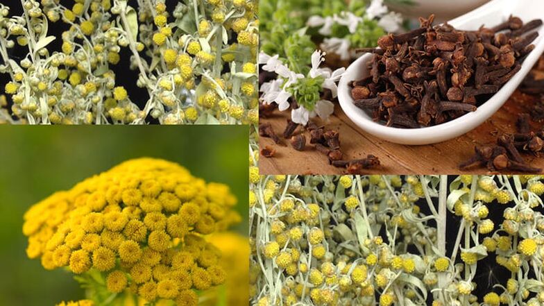 Ludowe środki zaradcze na pasożyty