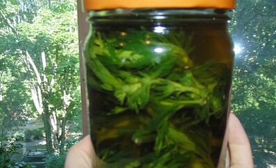 Należenie ziołowe w celu usunięcia pasożytów z ciała