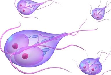 Rodzaje pasożytów w ludzkim ciele